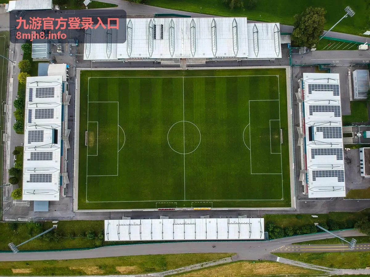 九游官方登录入口账号安全与验证页面示意
